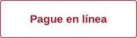 Pague en línea